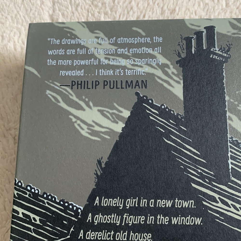 Thornhill by Pam Smy  *Like New Book - Picture 3 of 8